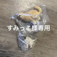 すみっこ様専用