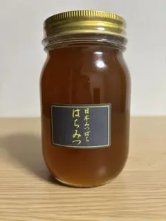 日本蜜蜂