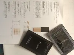 セルヴォークのサムネイル