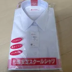 Item thumbnail for item 55151a05-f877-4e1d-81ce-22e65a7d7920