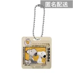 PEANUTS パッケージミニチュアコレクション スヌーピー　2000s ガチャ