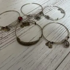 アレックスアンドアニ アメリカ アクセサリー A12EB35RG Alex and ANI What's for You Will Not