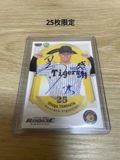 Item thumbnail for item 7a1ca328-7c7a-425b-994e-c61a22f02274