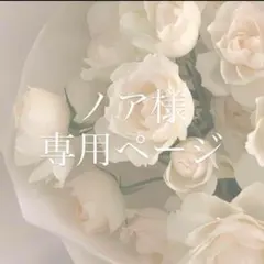 ノア様専用ページ