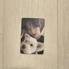 リッキー トレカ レオ NEVER SAY NEVER