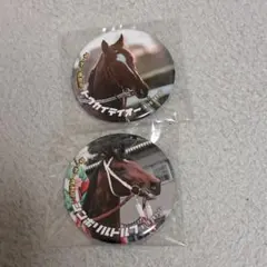 ダービー馬　トウカイテイオー、シンボリルドルフ　2個セット