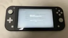 Nintendo Switch Lite グレー 本体 ケース付き