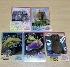 2026年最新】鳥羽水族館カードの人気アイテム - メルカリ
