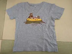 モンベル　mont-bell クマイラスト Tシャツ 140 キャンプ