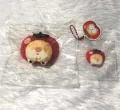 猫のお尻 スクイーズ 茶トラ Sサイズ ミニ セット にゃんたま cat
