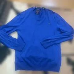 American Eagle Vネックセーター Lサイズ