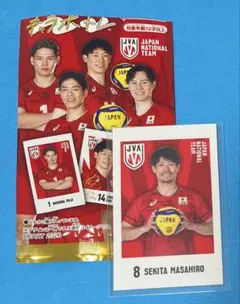 Item thumbnail for item b539b029-d57e-470b-970d-3e799a31b15f