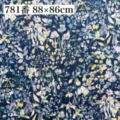 Item thumbnail for item 59bb1ea9-1b8c-4ddf-bf90-e444317d0cb5