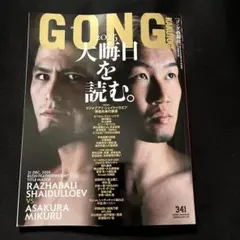 ゴング格闘技　341