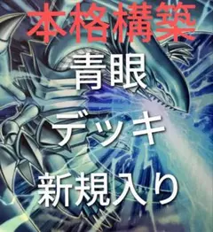 DK 青眼デッキ 本格構築 ブルーアイズデッキ ブルーアイズ 青眼の白龍