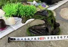 ニッソーリトルガーデン流木のサムネイル