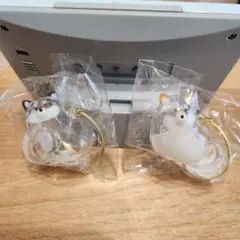 うちの子のけだまだま　 柴犬　黒柴