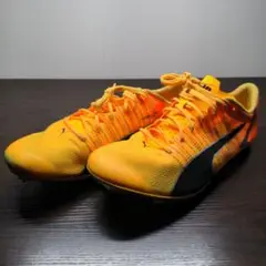 PUMA エヴォスピード ブラッシュ4 27.5