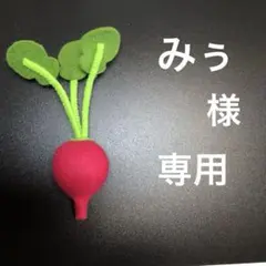 みぅ様専用。フェルト おままごと 食育