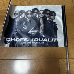 JSB echos of dualityフラッグ 三代目