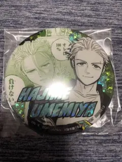 ウィンドブレイカー ナムコ ホログラム 缶バッジ 梅宮一