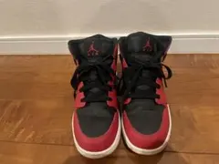 Item thumbnail for item 8322a4c3-f362-4005-b7ce-c88c3d2ae977