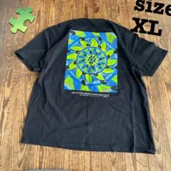 Stussy Rabbit Hole 8ボール　ステューシー　ブラック