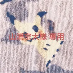 【優先発送】山浦宗大様 リクエスト 2点 まとめ商品