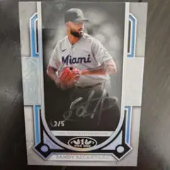 サンディアルカンタラ　直筆サインカード　WBC マイアミマーリンズ サンディアルカンタラ 直筆サインカード WBC マイアミマーリンズ