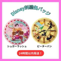 【即日発送】ディズニー刺繍缶バッジ シュガーラッシュ ピーターパン