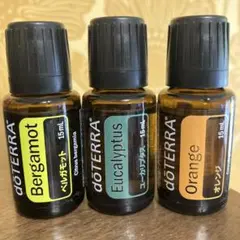 ドテラ ミネラル プルーン 2本セットdoTERRA 新品未開封 - メルカリ