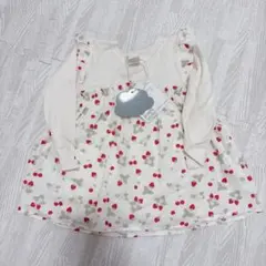 Item thumbnail for item fd72fc9f-75b9-402b-bd1b-802d8536df05