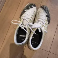 Item thumbnail for item 48dfb1c9-f261-4293-9f56-7dc8f19da316