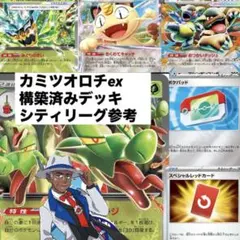 ポケモンカード デッキ Nのゾロアーク ジムバトル優勝構築 [04819