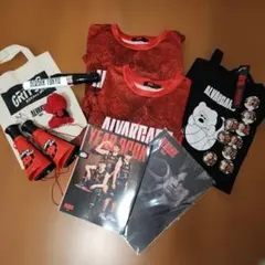 アルバルク東京 応援グッズセット