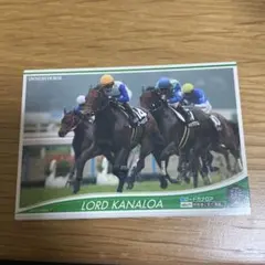 2025年最新】オーナーズホースの人気アイテム - メルカリ