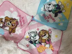 パウパトロール ループ付きタオル 3枚セット　スカイ　エベレスト