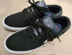 スケートボーディング