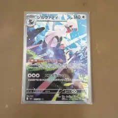 シルヴァディ　AR