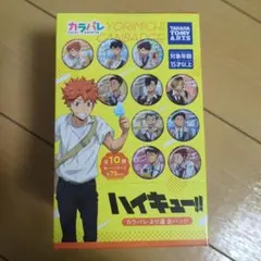 ハイキュー!! カラパレ より道 缶バッジ 10種セット