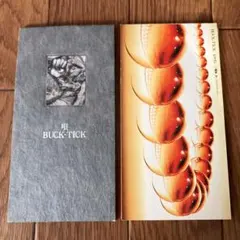 Item thumbnail for item 6bb91c5b-17de-46d4-9e22-797a7ff1d3d6