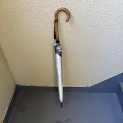 Item thumbnail for item 88163a86-fd6f-49ae-af6f-f355cc16563d