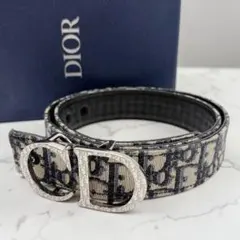 ⭐︎極美品⭐︎ ディオール キャンバス オブリーク カクタスジャック 