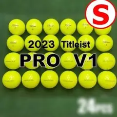 【S110】Titleist PRO V1 黄 23年 ロストボール 24球のサムネイル