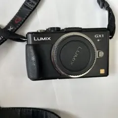 Panasonic LUMIX DMC-GX1 ボディのサムネイル