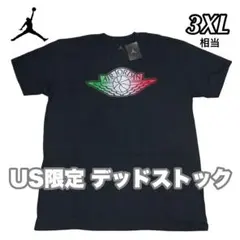 NIKE ナイキ エアジョーダン ウィングロゴ デッドストック Tシャツ 限定B