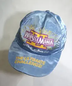 Item thumbnail for item ce474798-6f8f-469b-8e0c-68f40eee3442