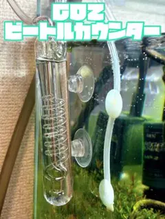 No. 3 수족관 CO2 스파이럴 카운터 비틀 카운터