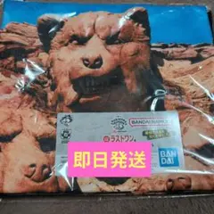 MAN WITH A MISSION マンウィズ 一番くじ ラストワン賞 タオル