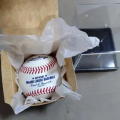 MLB メジャーリーグ公式球 Rawlings 　※ケース付き